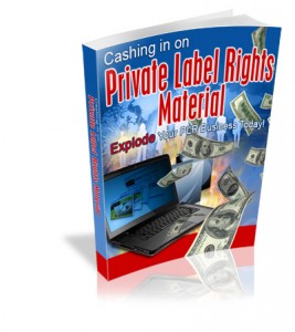 Cashing in on Private Label Rights Material MRR Ebook