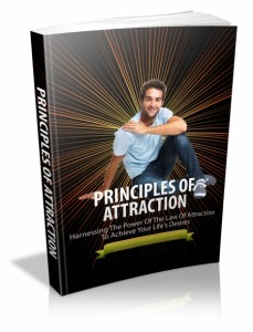 Principles Of Attraction MRR Ebook