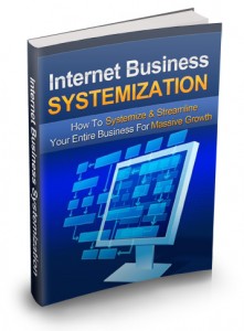 Internet Business Systemization