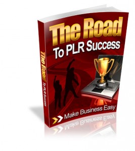 The-Road-to-PLR-Success-MRR-Ebook