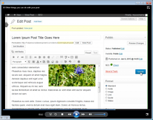 Setup-Wordpress-Videos-PLR