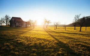 Farm_Stock_Images_1