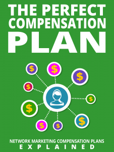 the-perfect-compensation-plan