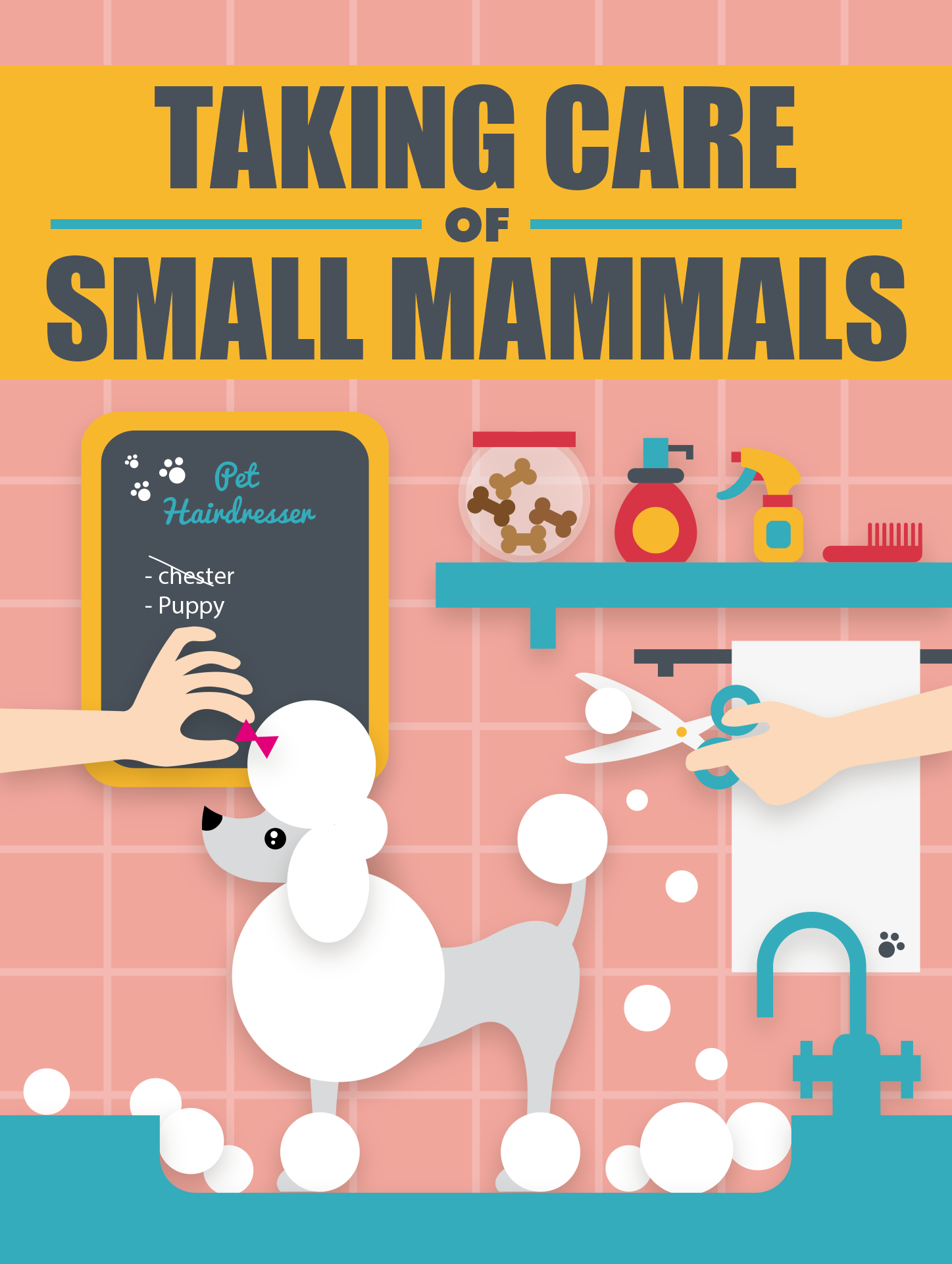 Taking Care Of Small Mammals > MRR Ebook – PLR MRR Products